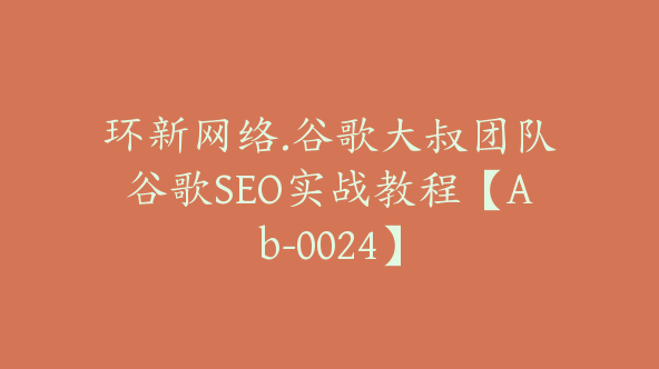 环新网络.谷歌大叔团队谷歌SEO实战教程【Ab-0024】