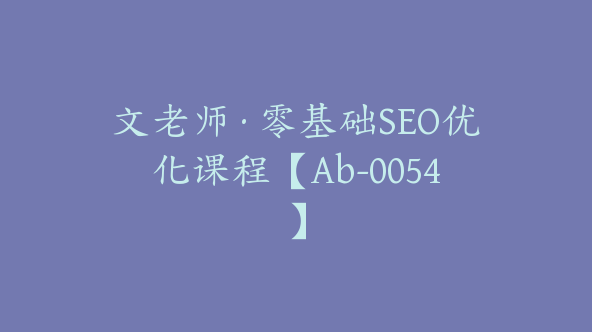 文老师·零基础SEO优化课程【Ab-0054】