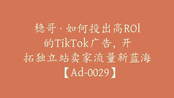 稳哥·如何投出高ROl的TikTok广告，开拓独立站卖家流量新蓝海【Ad-0029】