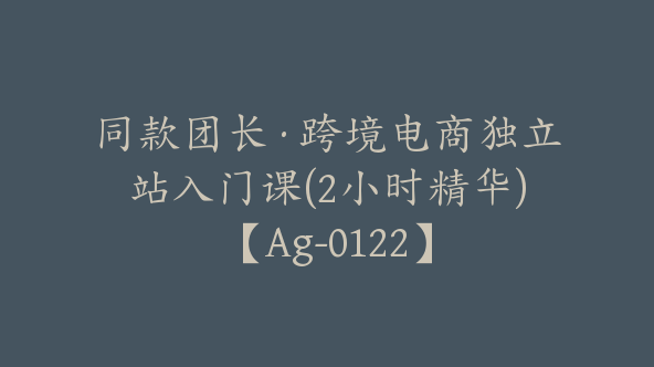 同款团长·跨境电商独立站入门课(2小时精华)【Ag-0122】