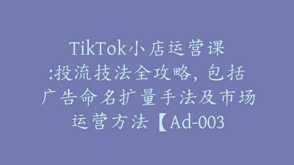 TikTok小店运营课:投流技法全攻略，包括广告命名扩量手法及市场运营方法【Ad-0035】