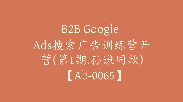 B2B Google Ads搜索广告训练营开营(第1期.孙谦同款)【Ab-0065】