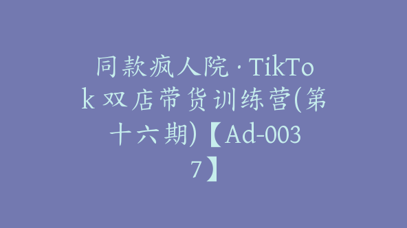 同款疯人院·TikTok 双店带货训练营(第十六期)【Ad-0037】