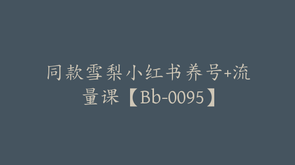 同款雪梨小红书养号+流量课【Bb-0095】