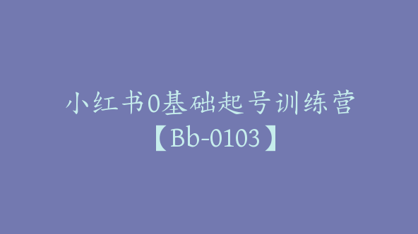 小红书0基础起号训练营【Bb-0103】