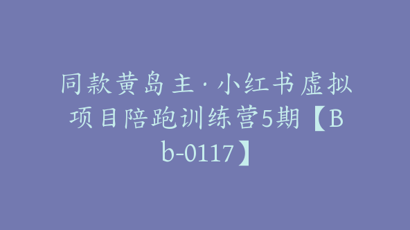 同款黄岛主·小红书虚拟项目陪跑训练营5期【Bb-0117】