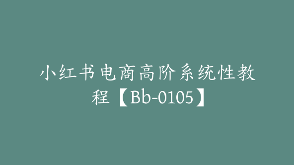 小红书电商高阶系统性教程【Bb-0105】